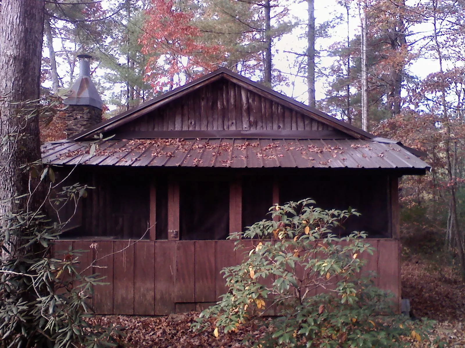 Metal roof over the screened porch of a rustic cabin in Scandia
